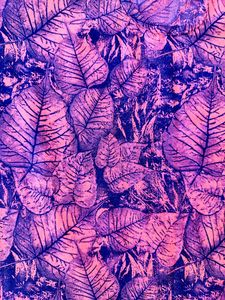 Pink Leaf Print Top