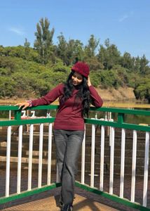 Marron High Neck Top
