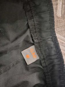 olive Grey Casual Shorts