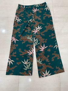 🌿 Bloom Bold in Emerald ZARA Florals 💚✨ Now! 🔥!