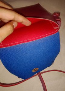 Cute Sling Bag
