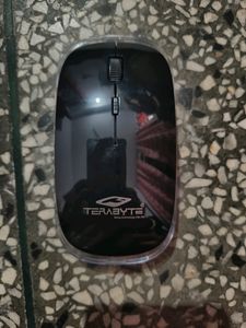 Terabyte Wirless Mouse