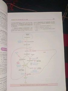 BIOCHEMISTRY TEXTBOOK U.SATYANARAYANA