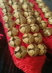 Red UAPAN or GHUNGROO