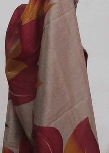 Floral Print Saree with Blouse