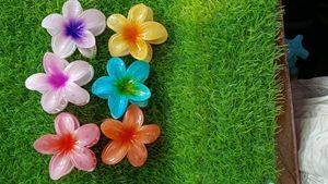 Floral Design Hair Clips