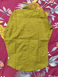 Olive Green Casual Shirt