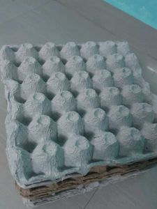 Recyclable Egg Trays(Pack Of 10)5 Pairs