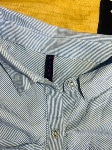 Striped Button-Down Shirt