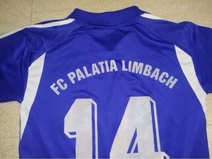 Adidas Blue Jersey
