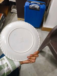 Floral Patterned Dinner Plates - Set of 6