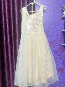 Elegant Ethnic Gown