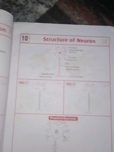 Class X Biology Record Book
