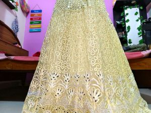 Embroidered Lehenga &amp; Choli