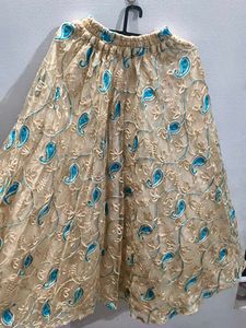 Beautiful Net Skirt