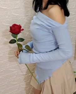 Korean Fitted Top
