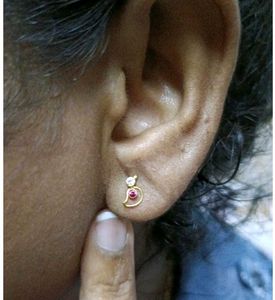 beautiful parrot 🦜 design studs