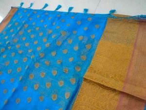 Blue Saree💙