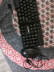ProDot Keyboard &amp; Hp Mouse