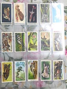 Cigrate Cards Collection