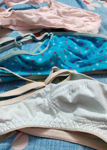 Combo Of 3 Bras