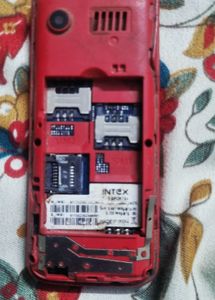 Intex Eco Sports+ Basic Phone