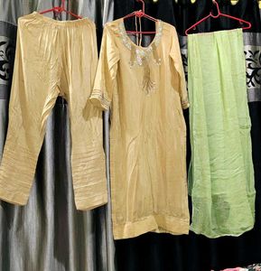 Elegant Pakistani Salwar Suit(Offer Price)