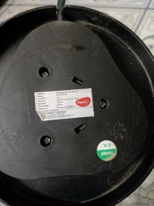 Electric Kettle