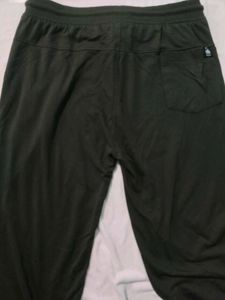 XL Polo Jeans Green Joggers