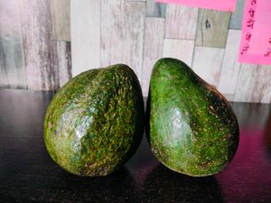 Seed