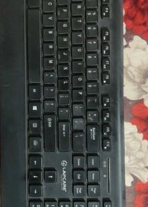 Lapcare Keyboard