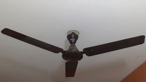 Crompton Ceiling Fan