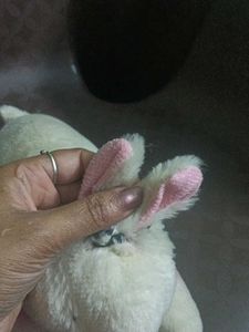 Soft Toys Combo