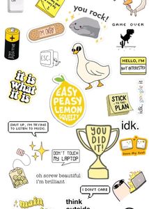 Laptop stickers