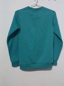 Burgundy And Sea Green Crewneck Sweater