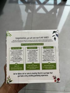 Bombay Greens DIY Grow Kit