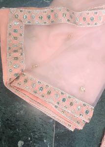 Gorgeous Lehenga Choli