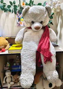 Giant Teddy Bear 3.5 Feet Fixed Price+ Freebie