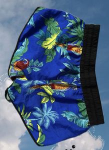 Harmony&amp;Havoc Shorts