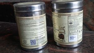 Khadi Natural Shikakai Hair Powder (Set of 2)