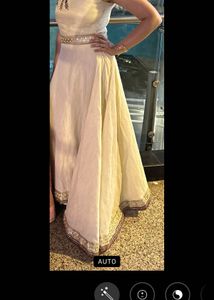 Elegant Ethnic Gown