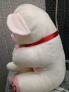 2 In 1 Teddy Bear