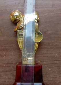 Football Trophies