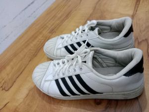 Sparx Brand Sneakers For Womens