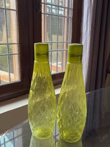 Reusable Water Bottles (Set of 2)