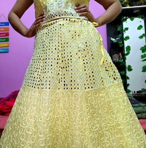 Embroidered Lehenga Choli