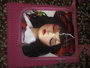 Handbag / Shoulder Bag