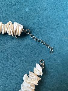 Sea Shell Necklace