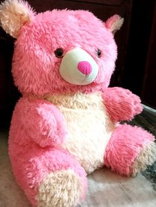 Bubbly The Teddy 🐻✨