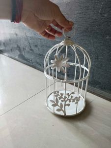 Beautifull Decoration Cage
